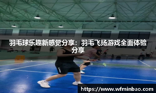 羽毛球乐趣新感觉分享：羽毛飞扬游戏全面体验分享